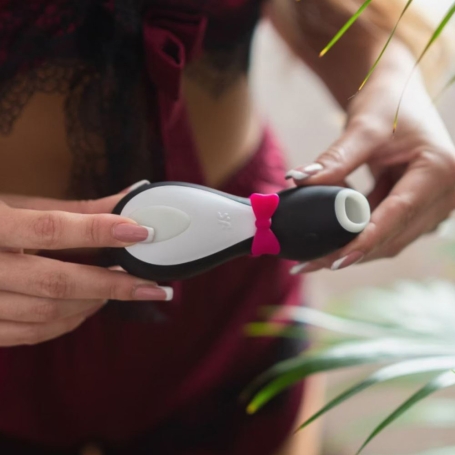 Вакуумный стимулятор клитора Satisfyer Penguin